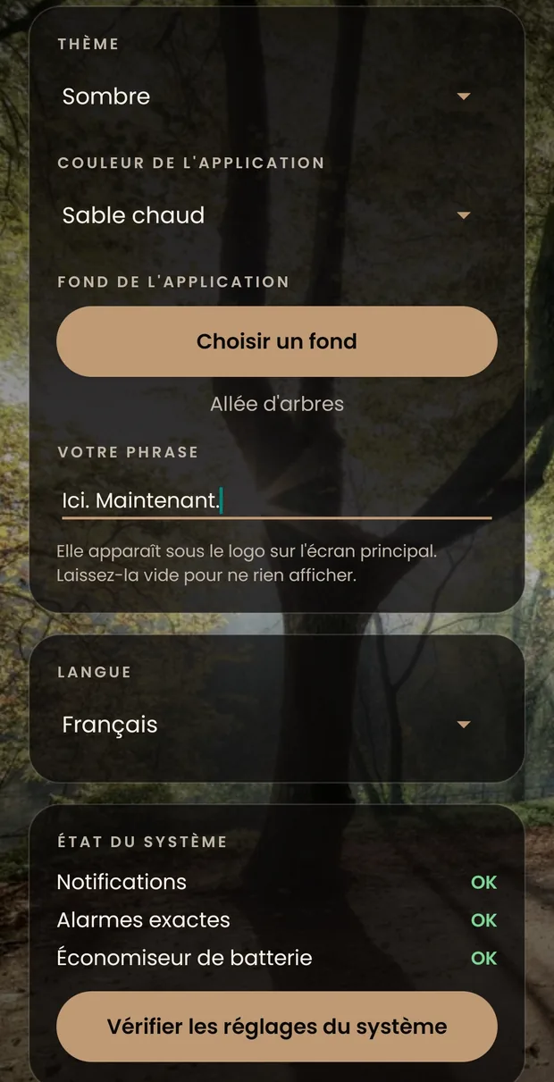 Les réglages d’apparence : thème sombre, couleur de l’application en sable chaud, un fond à soi, sa propre phrase, la langue réglée sur français, et les trois contrôles du système tous en OK.